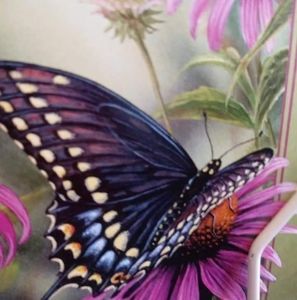 Meet your Posher, Magdalena